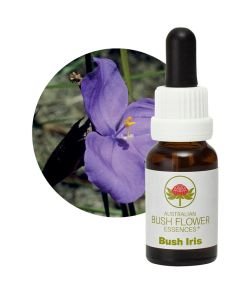 Bush Iris, 15 ml